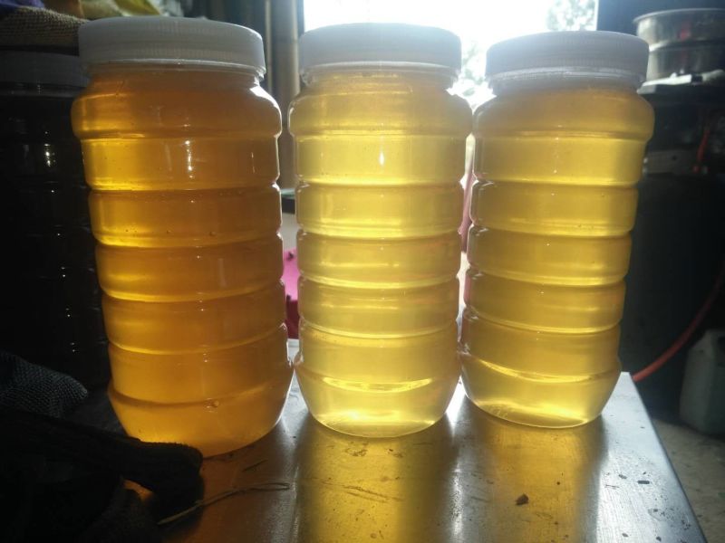 黑龙江特产伊春自产农家纯椴树土蜂蜜