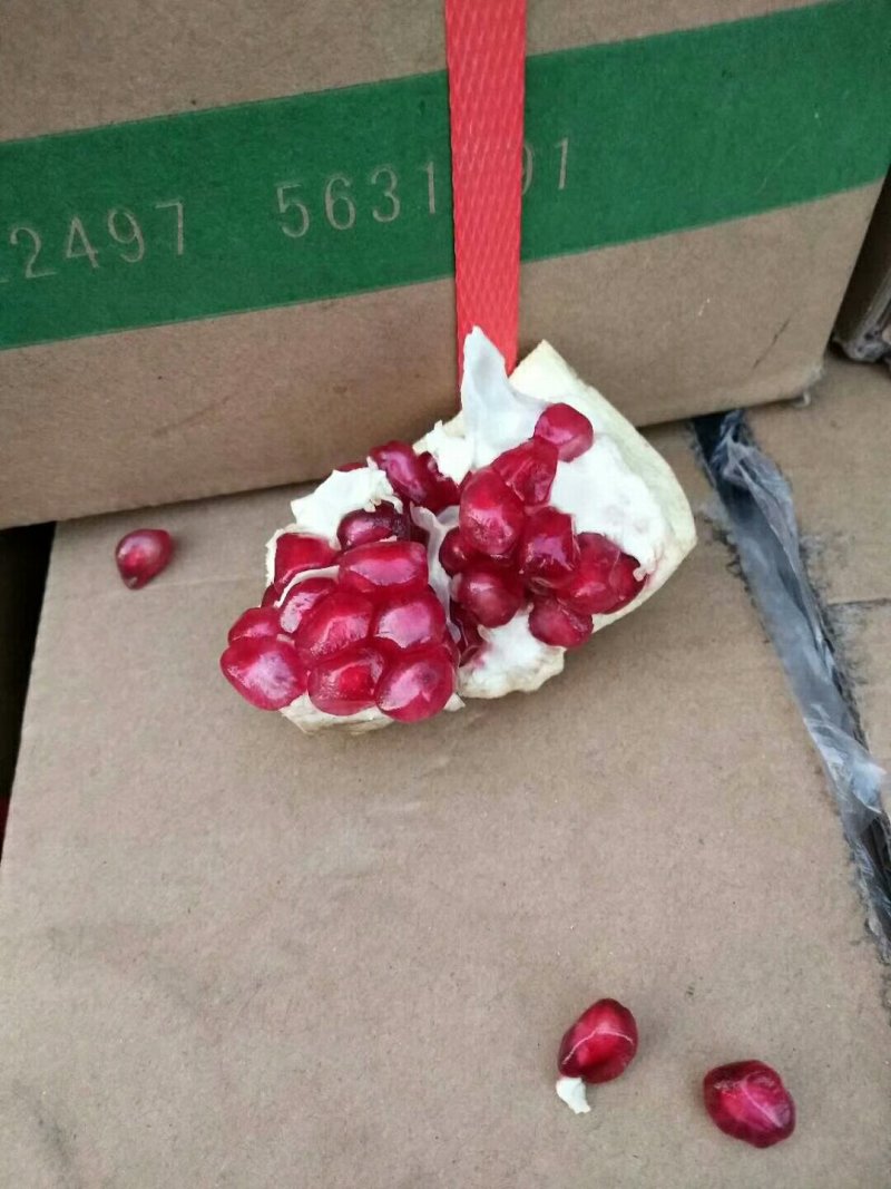 石榴批发