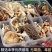 野生菌特级
