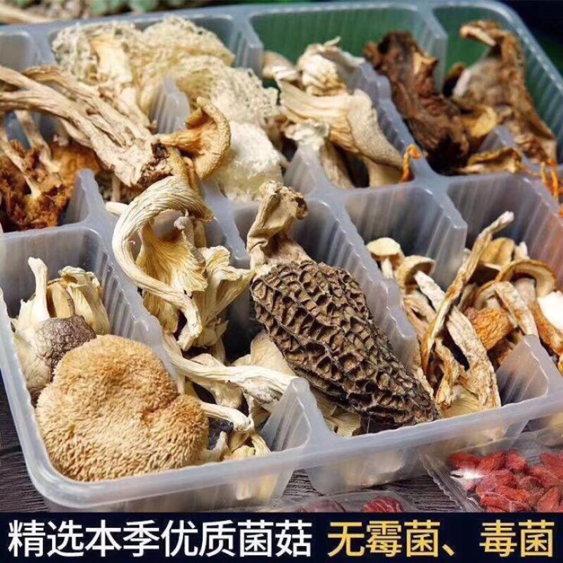 野生菌特级