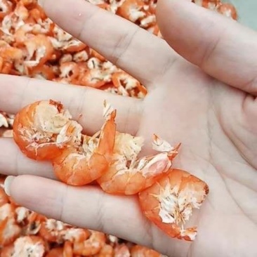 海米