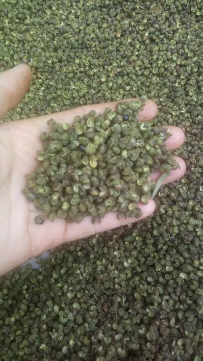 青花椒特级干