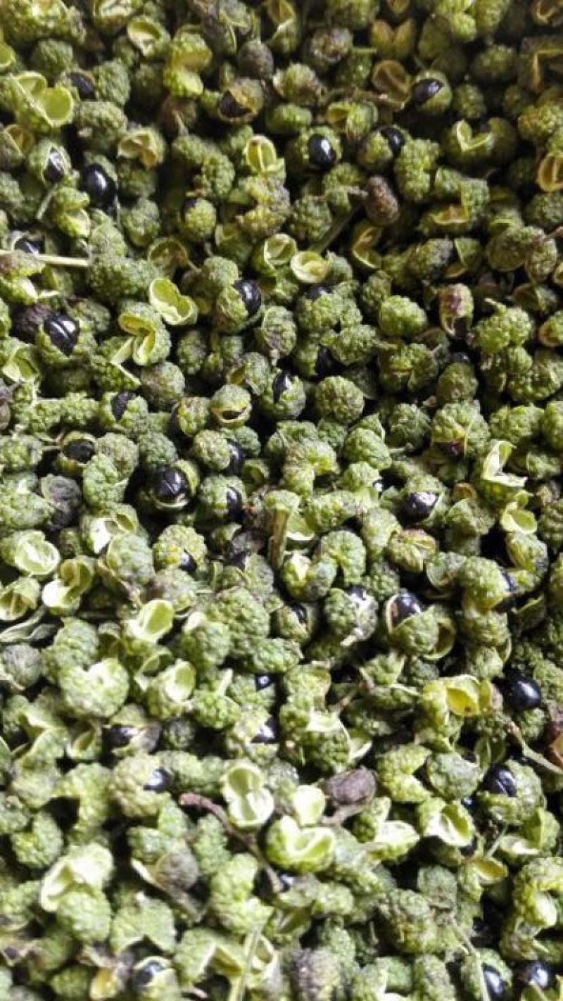 青花椒特级干