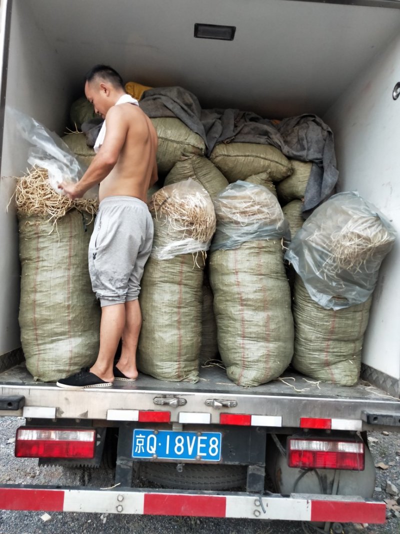 鱼腥草，新货上市，保质保量