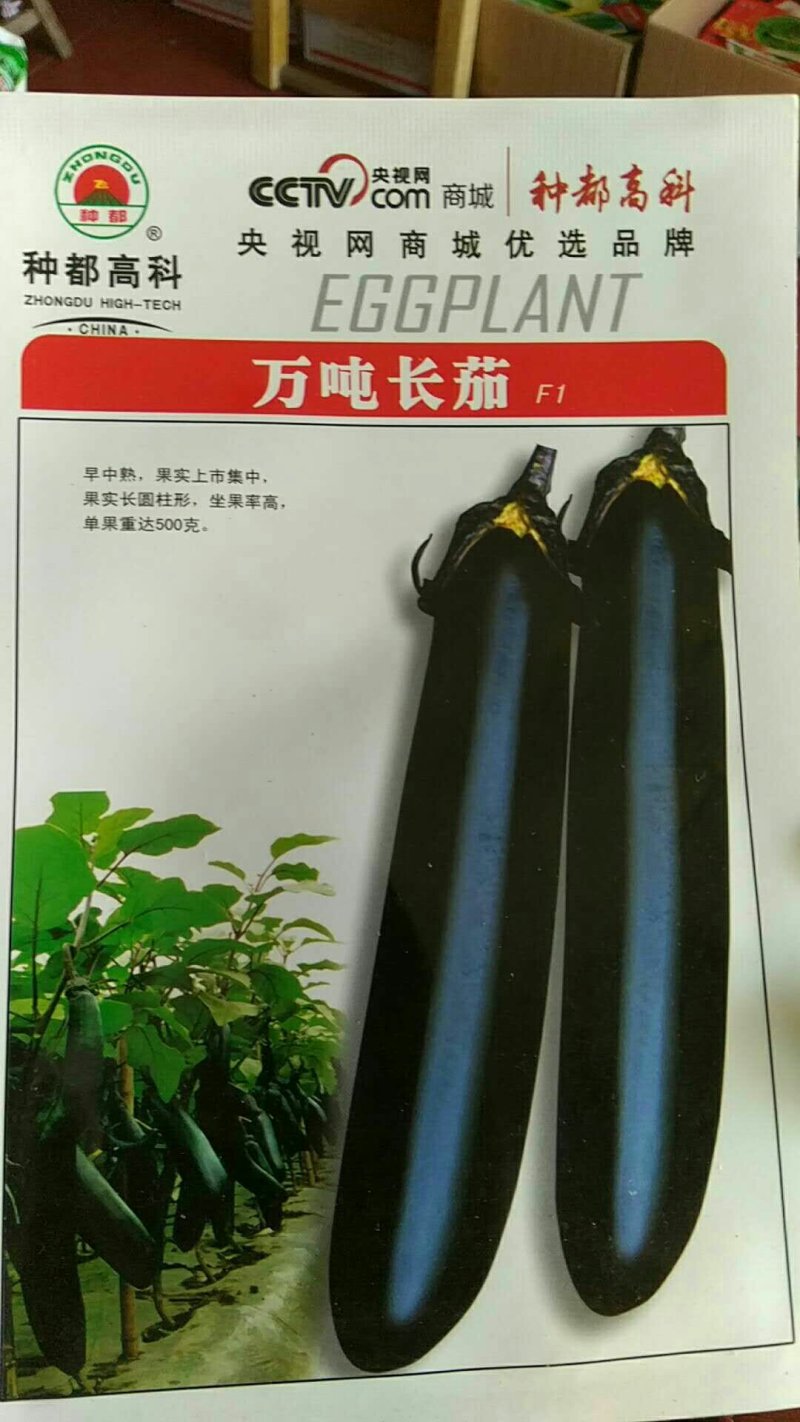 茄子种子