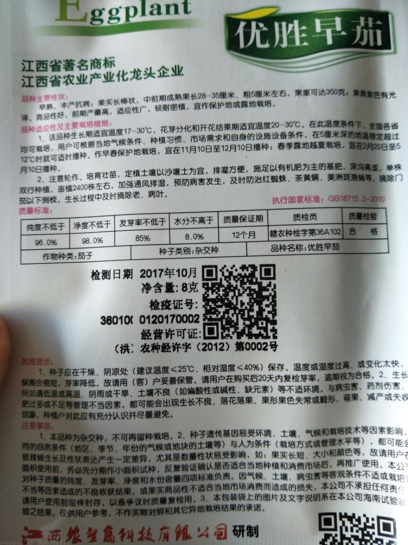 茄子种子