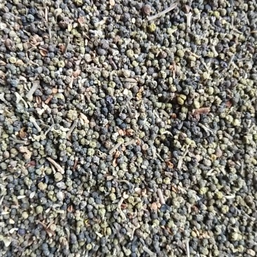 吴茱萸/全年有货/量大从优/自然晾晒/欢迎进店选购