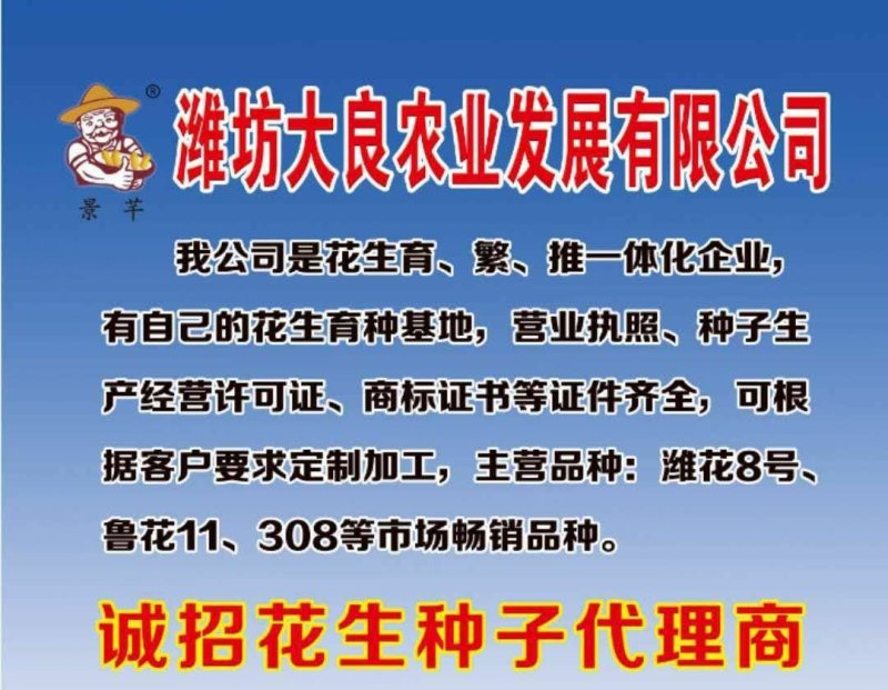 大良花生种子招商，销售东北地区空白市场代理