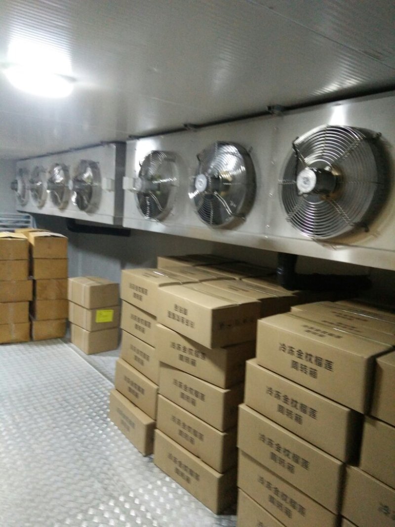 金枕头榴莲肉，冷冻金枕头榴莲肉