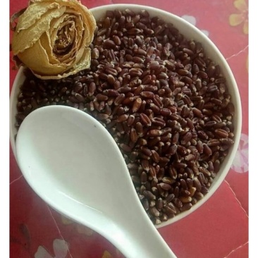 富硒黑小麦