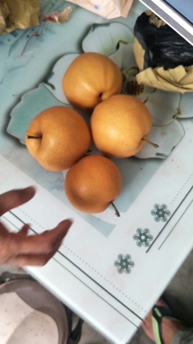晚秋黄梨大量上市半斤起步