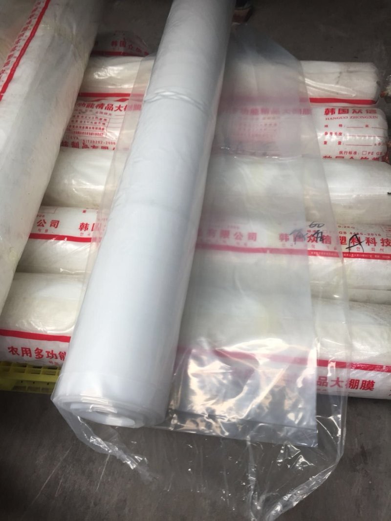 大棚膜-苫盖养殖专用多功能薄膜规格齐全欢迎订购