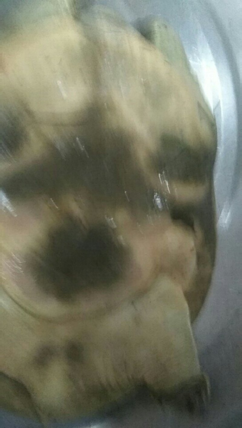 苏北黑花黑底野生甲鱼