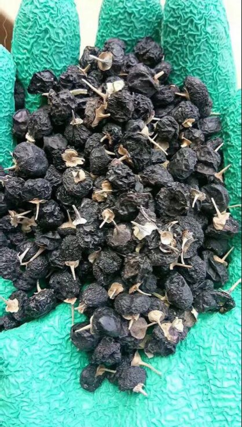 黑枸杞头茬干货包邮