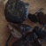 灵芝8~12公分