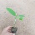 绿皮百香果，绿宝石百香果