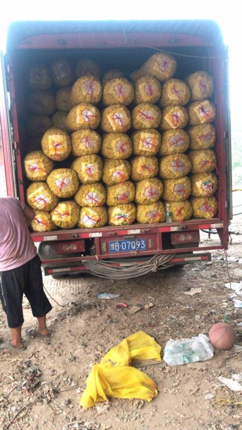 鲜花生大白沙小白沙人工挑选.商超.社区团购直供