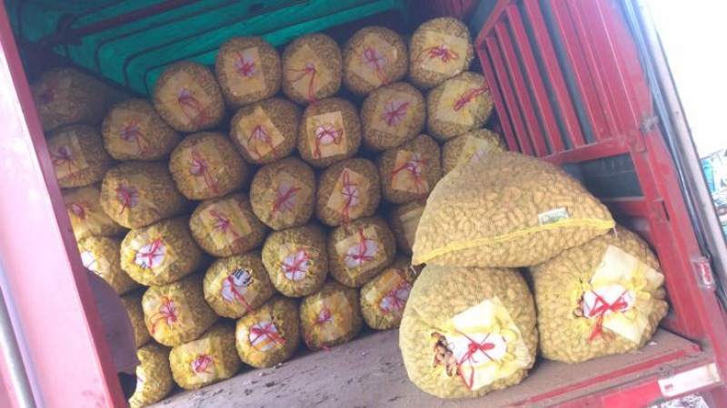 鲜花生大白沙小白沙人工挑选.商超.社区团购直供