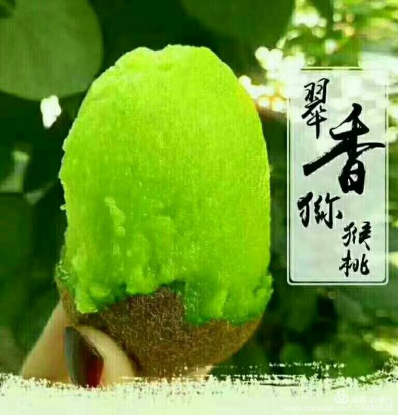 70/90克一箱30元