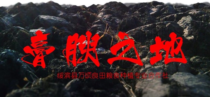 东北黑龙江当年新米一级江水灌溉大米粳米