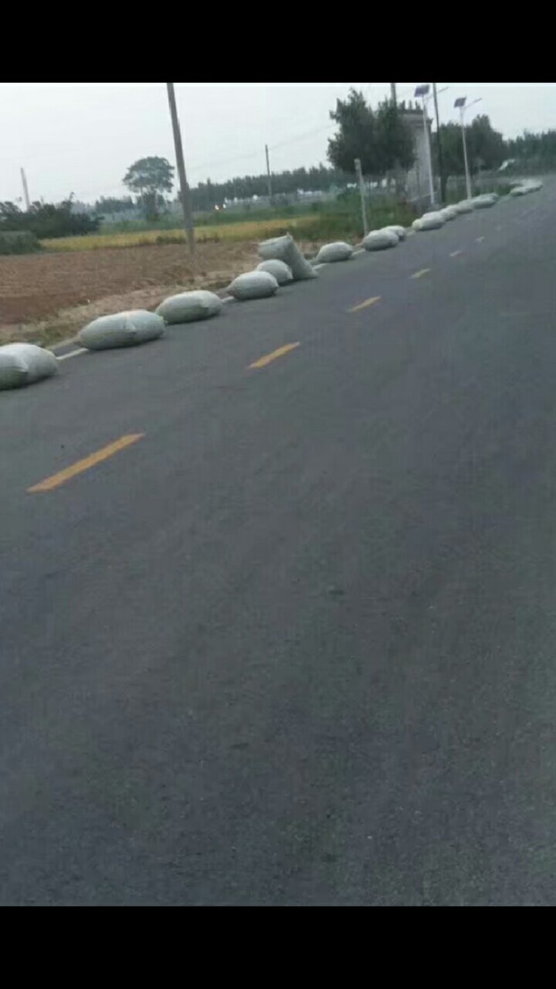 柴胡苗！！！！
