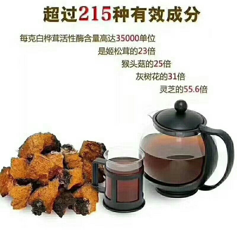 桦树茸