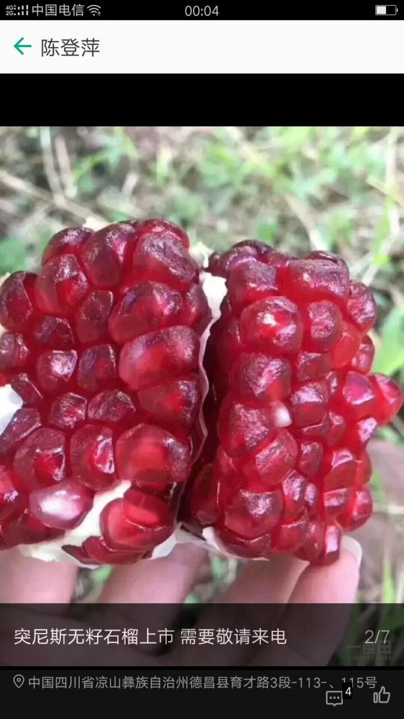 会理石榴，软籽石榴