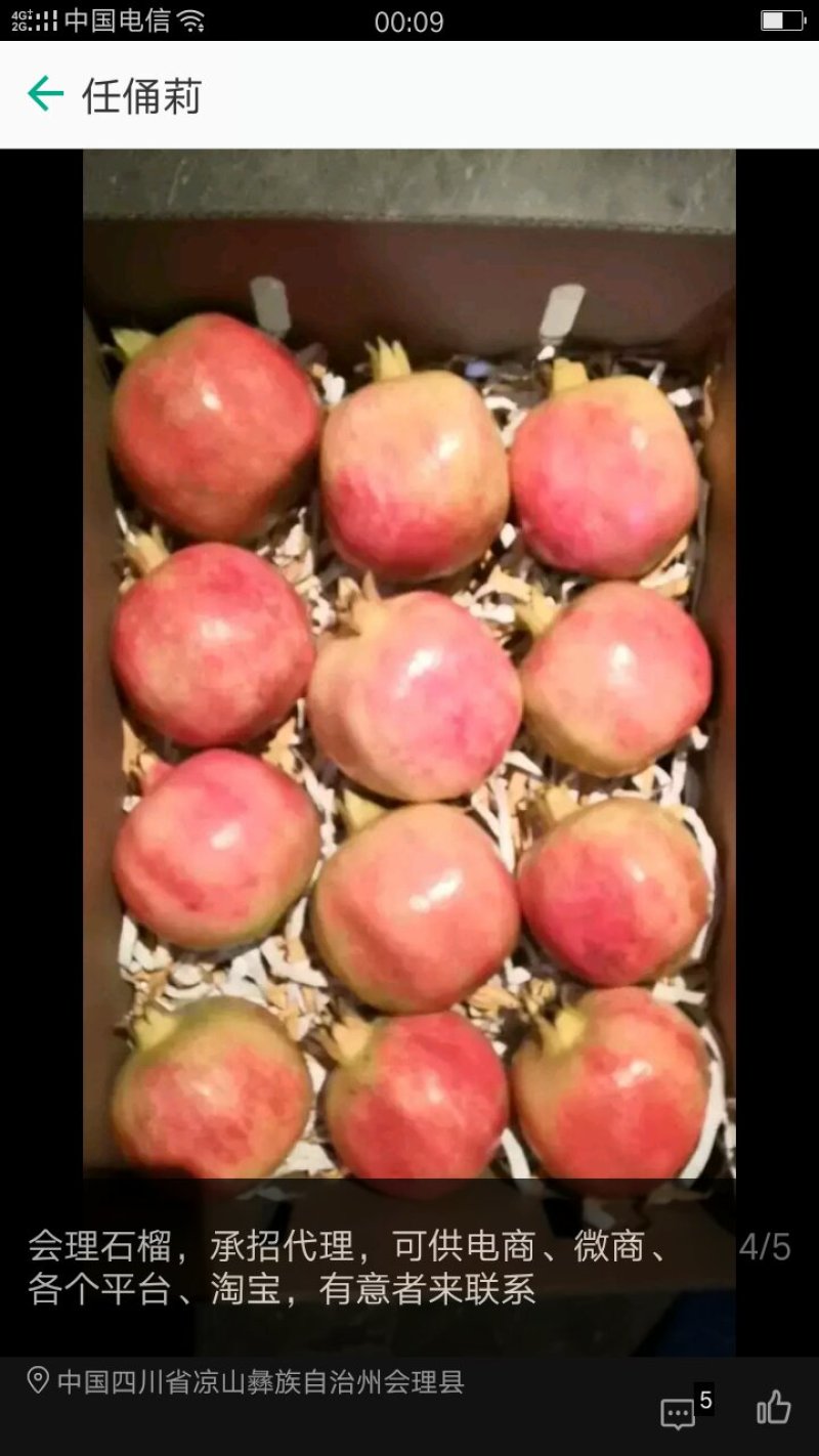 会理石榴，软籽石榴
