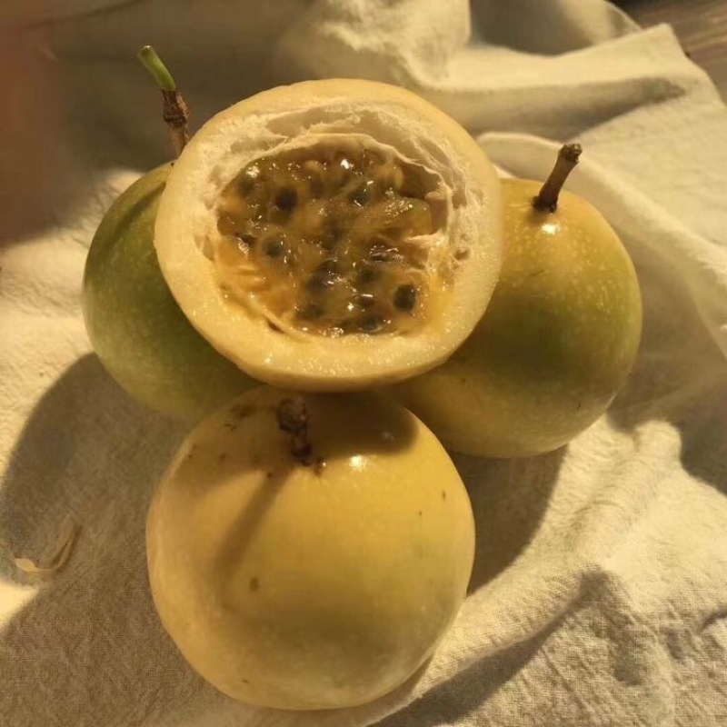 黄金百香果80~90g黄果