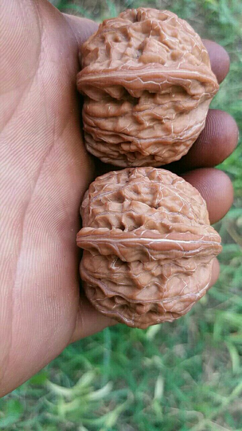 文玩核桃