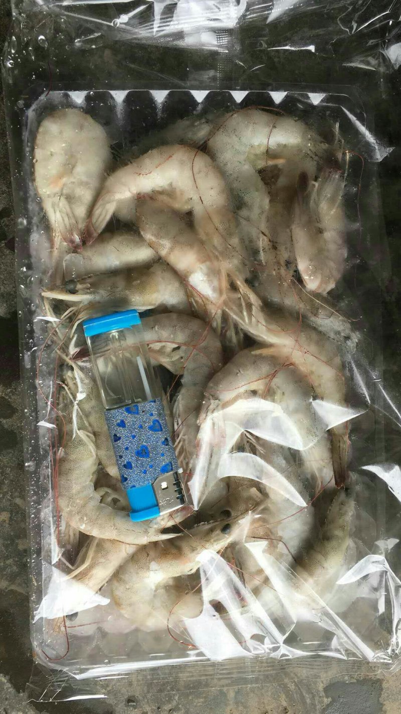 海鲜海必鲜南美白对虾全规格
