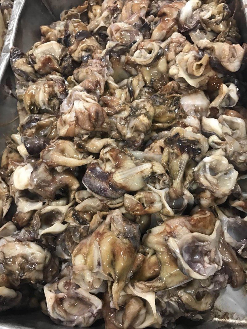 秘鲁鱿鱼脖