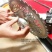 辣椒等神速高效收割机