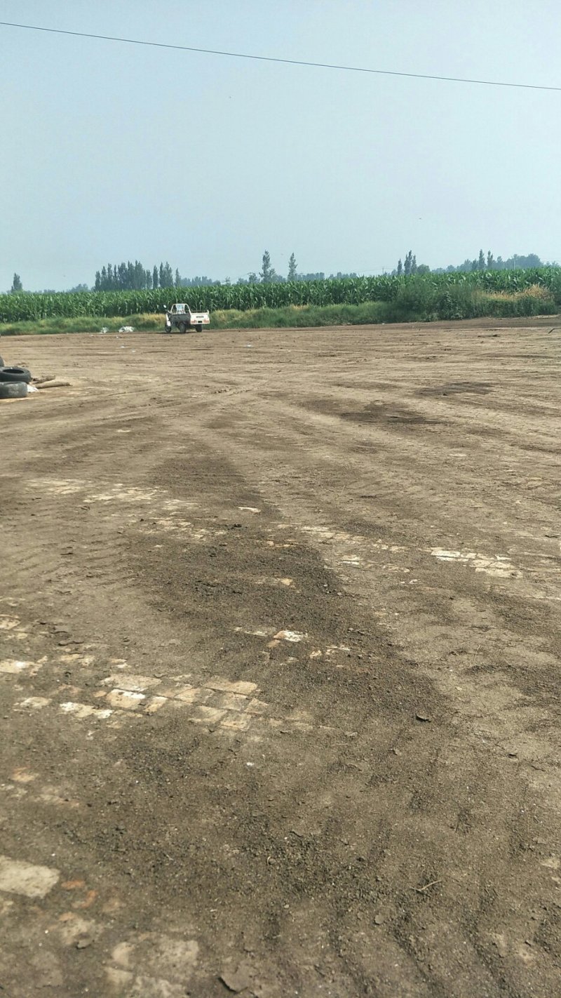 山东德州有机肥干鸡粪