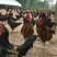 杂交黑羽