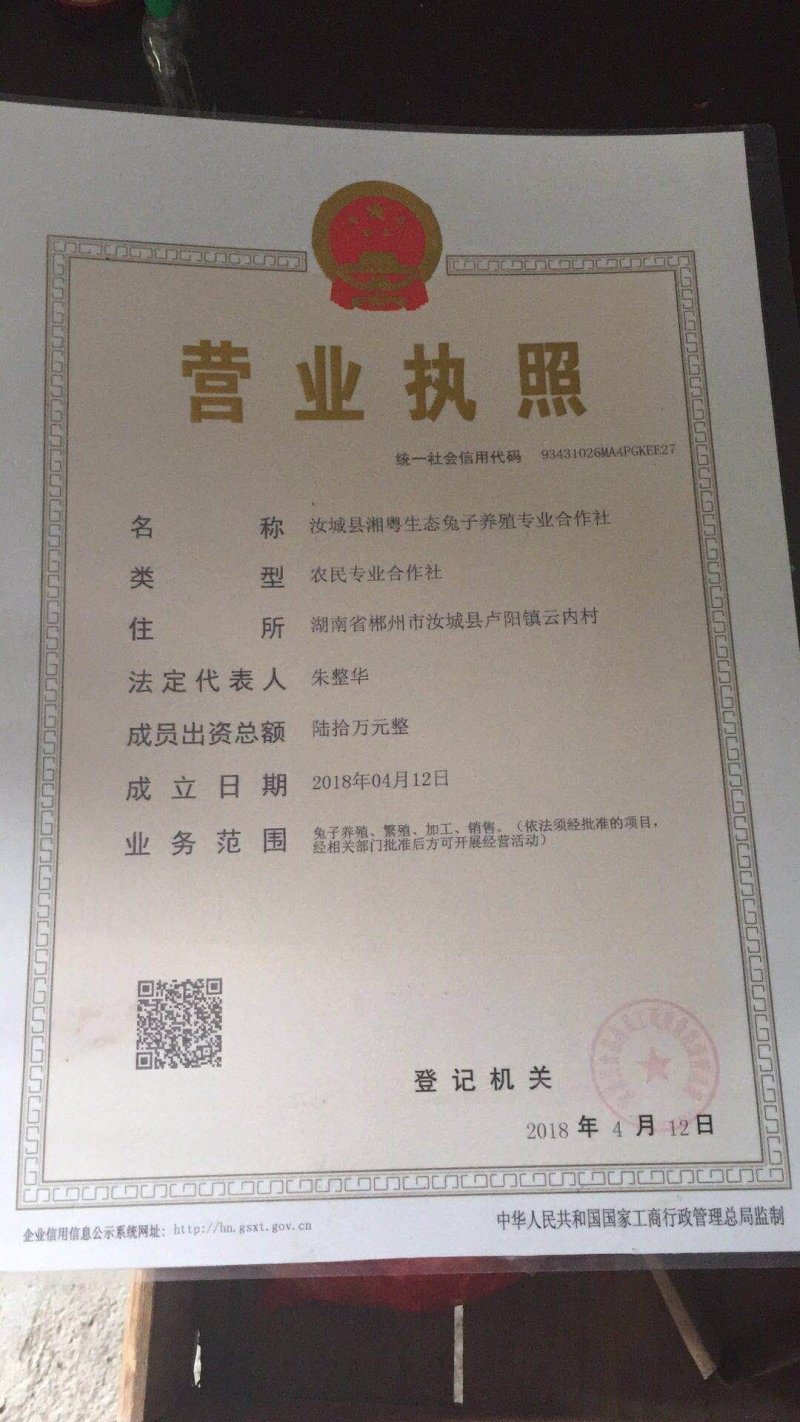 湖南兔子杂交比利时种兔新西兰肉兔兔子养殖回收包技术