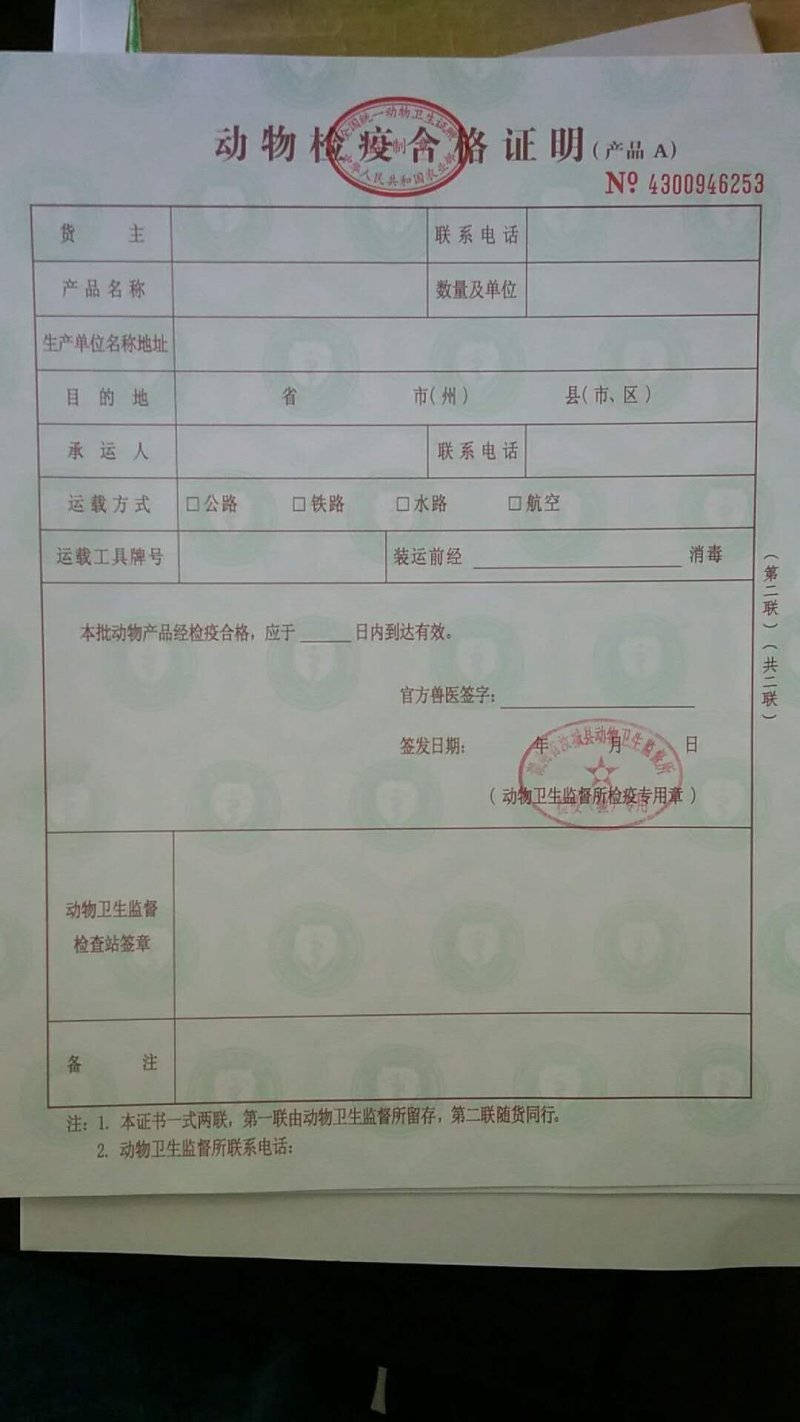 湖南兔子杂交比利时种兔肉兔兔子养殖回收包邮包技术包回收