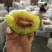 苍溪红心猕猴桃四川红心猕猴桃苍溪原产地直发