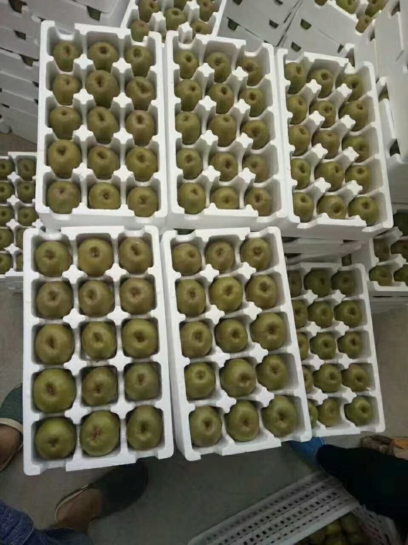 四川猕猴桃精品红心猕猴桃大量上货果园直供量大从优