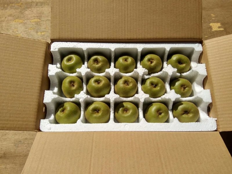 四川猕猴桃精品红心猕猴桃大量上货果园直供量大从优