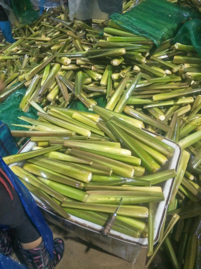 精品茭白