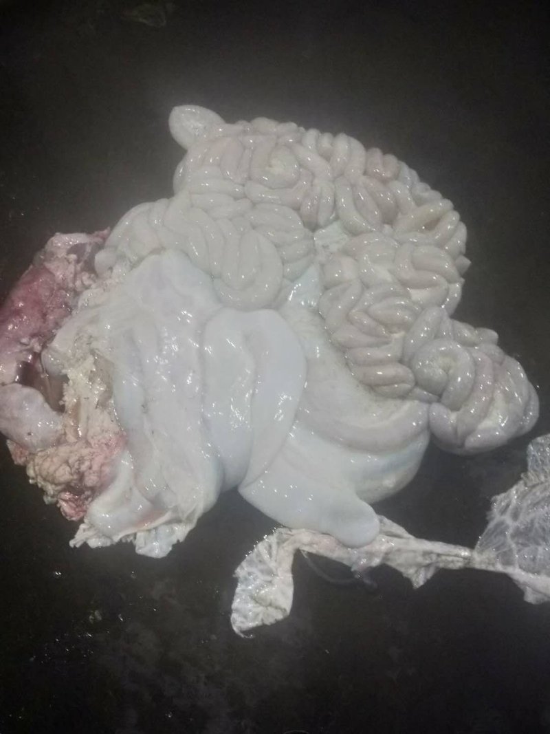 新鲜牛心，干货每天都有