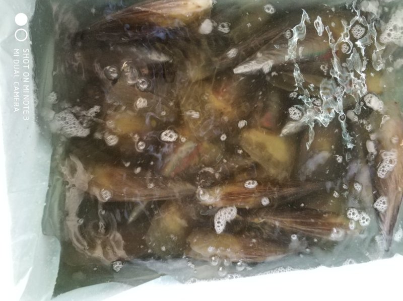 带子6两到7两一个