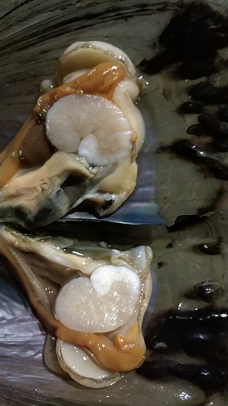 带子6两到7两一个