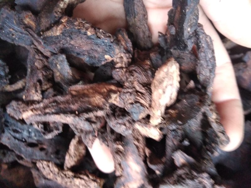 批发中药材生地统片大货批发
