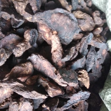 批发中药材生地统片大货批发