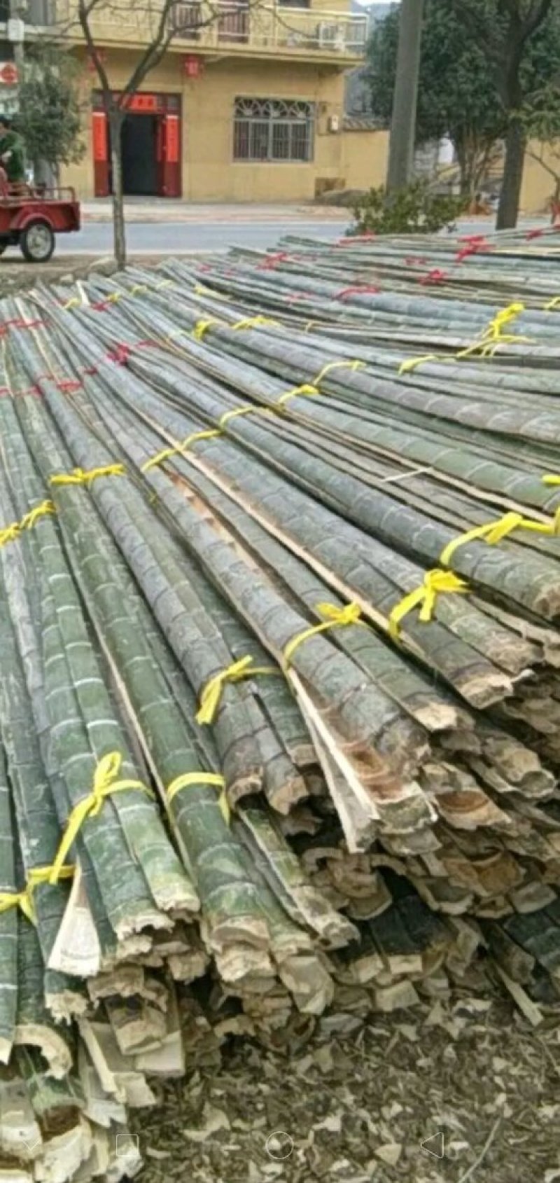 竹片，用于建拱棚，长度4米-7.5米，尾部宽4公分以上