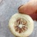 枳壳四川广安足含量优质无硫正品酸橙枳壳全生态产品