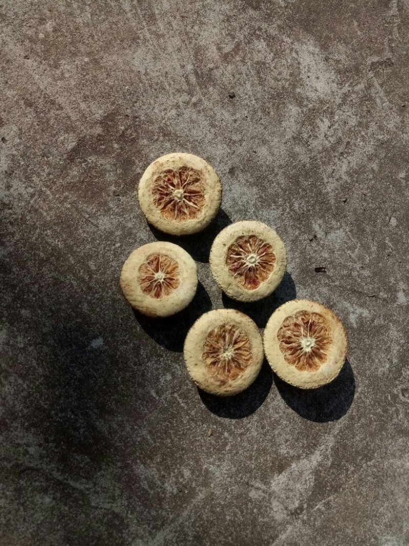 枳壳四川广安足含量优质无硫正品酸橙枳壳全生态产品