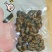 昆虫系销售，蚂蚱，金蝉，蝎子，蚕蛹，